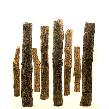 香槟树造景树干森林造景树桩雨林缸水草缸鱼缸水族天然沉木造景大 高