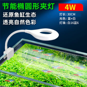 京选推荐 鱼缸灯led灯水草灯水族照明夹灯超亮节能䓍缸灯小型鱼缸灯造景灯椭圆侧夹灯蓝白10w适合30 50cm 图片价格 京选推荐 鱼缸灯led灯水草灯水族照明夹灯超亮节能䓍缸灯小型鱼缸灯造景灯椭圆侧夹灯蓝白10w适合30 50cm 图片价格