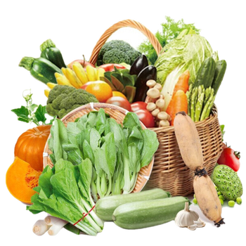 jd发货可进沪黄花地新鲜蔬菜精选搭配组合套餐当季时令蔬菜沙拉10种10