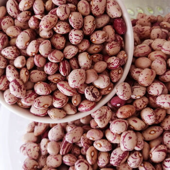 新货云南雀蛋豆5斤奶花芸豆花生豆花豆子孔雀豆贵州五谷杂粮250g雀蛋