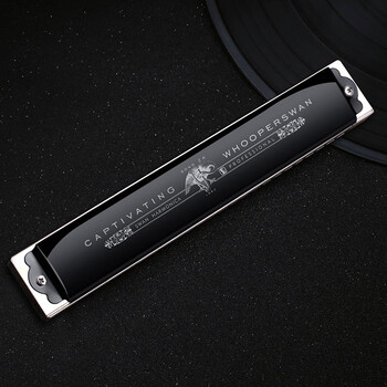 德国进口音簧天鹅24孔复音c调口琴特级演奏口琴初学者舞台演奏级乐器