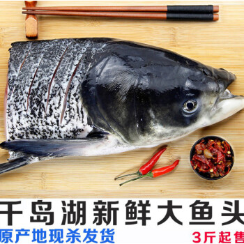 千島湖大魚頭新鮮胖頭魚鱅魚花鰱大頭魚包頭魚鮮活食用水產 6斤魚頭一