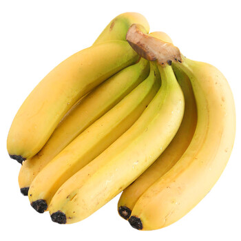 fghgh (现货)新鲜大香蕉 云南高山香甜芭蕉 当季水果 大蕉 9斤(发青香