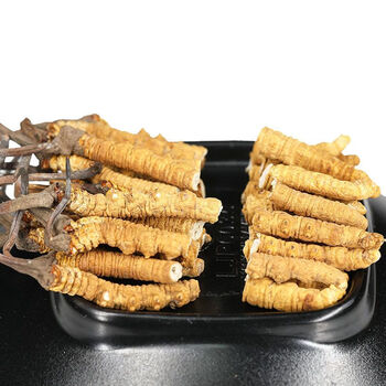 干草断的虫草滋补养生送礼泡酒处理西藏那曲青海玉五克装超值推荐赠品