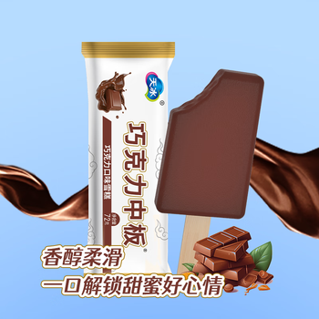 天冰冰淇淋巧克力口味绿豆沙味山楂雪糕提子中板雪糕 巧克力中板24支