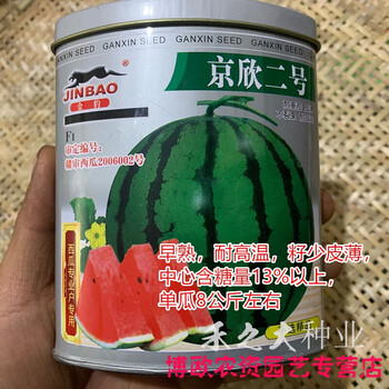 8424西瓜种子种籽高产无籽麒麟甜王水果蔬菜大小四季播特大京欣二号