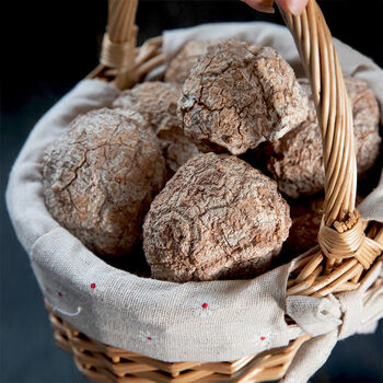 精选大片虎乳菌50g虎乳菌干货手工切片虎奶菌无渣无漂白无硫 500g