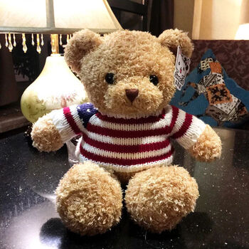 泰迪熊公仔小号抱抱熊猫小熊公仔布娃娃毛绒布偶玩具小号玩偶可爱萌