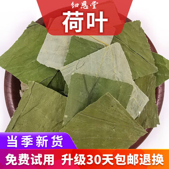 纽恩堂 荷叶片  干藕叶荷叶冬瓜茶干荷叶中药材批发新货中药材店铺