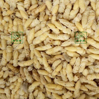 食芳溢云南特产新鲜树蜂蜂蛹速冻蜂蛹活体冷冻胡蜂虫马蜂蛹蜂脚蜂500g