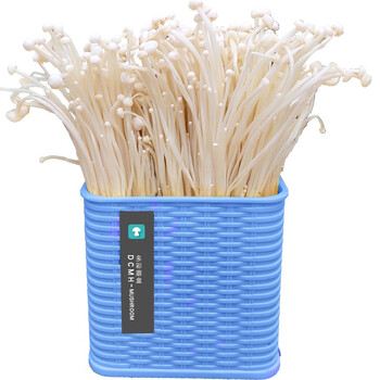 金针菇-方盒 绿盒【图片 价格 品牌 报价】-京东