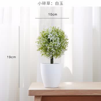 迷 妆迷妆仿真绿植盆栽塑料花草植物盆景室内客厅装饰品餐桌花艺盆栽摆件小碎草 白玉 图片价格品牌报价 京东