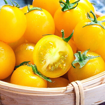 新鲜黄圣女果 黄色小番茄 酸甜黄西红柿小柿子即食水果西餐沙拉蔬菜 3