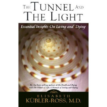 Tunnel and the Light: Essential Insights on ... azw3格式下载