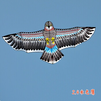 新年礼物 飞悦风筝 飞悦成人风筝伞布老鹰微风易飞大型风筝初学者风筝