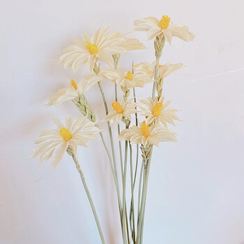 风简约小清新酒店客厅家居装饰摆件紫罗兰干花永生花白色文心兰10支