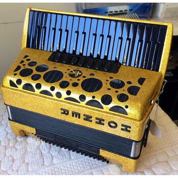 hohner德国霍纳牌新款fun系列键盘手风琴72贝斯96 120金色