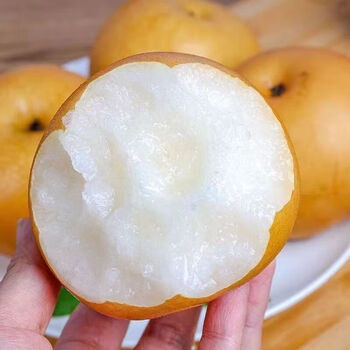 nessa秋月梨当季新鲜正宗羊脂秋月梨应季水果 秋月梨