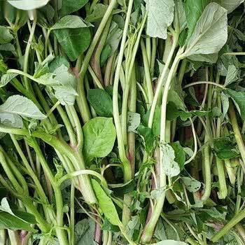 湖北特产白花菜  新鲜腌制 700克 白花菜1斤(新鲜腌制)