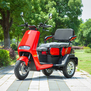 电动三轮车家用代步车三轮电动车电瓶车接送孩子爬坡休闲 裸车(不含