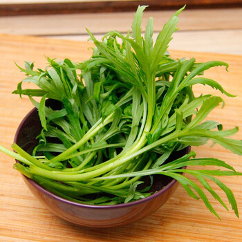 东北山野菜柳蒿芽野菜顺丰发货东北特产 2斤装