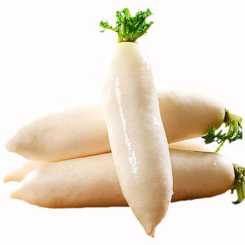 新鲜白萝卜2斤当季新鲜生吃甜脆长白萝卜农家自种蔬菜9斤人工精选白