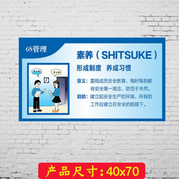 6s企业文化管理标语整理整顿清扫清洁素养节约安全质量海报工厂车间te5068 大号 图片价格品牌报价 京东