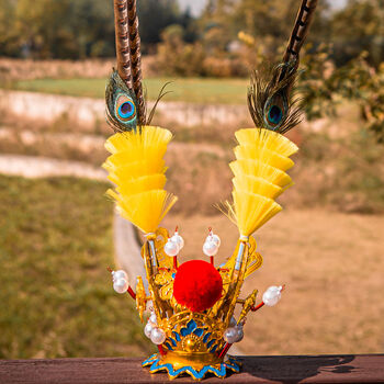 孙悟空头饰紫金冠羽毛戏剧紫金冠齐天大圣孙悟空头冠贾宝玉头饰翎座