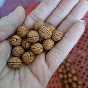 野生山桃核小桃核手串料核桃纯手工剥皮散称桃胡盘红打孔依莲妃 16颗