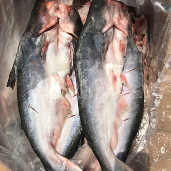 干冰开背巴沙鱼 冰冻湄公鱼龙利鱼烤鱼20斤9-11只装 宏嘉睿 700-900