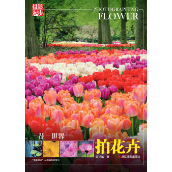 一花一世界：拍花卉（摄影起步）pdf/doc/txt格式电子书下载