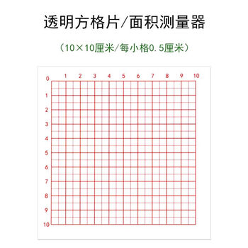 A4双面方格纸5mm毫米0.5厘米小学数学三四年级图形的运动平移坐标纸学具可手写绘图纸面积测量纸 10*10cm透明方格片/小格0.5cm/5 ...