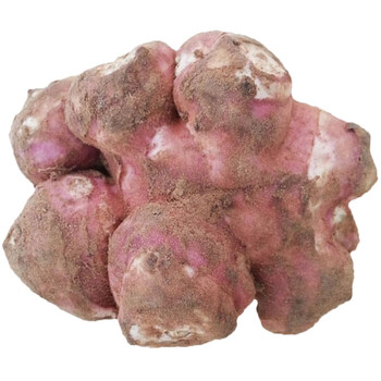 洋姜 菊芋红果皮鬼子姜姜不辣挖伤可做种子种植一件5斤9斤 红皮洋姜 5