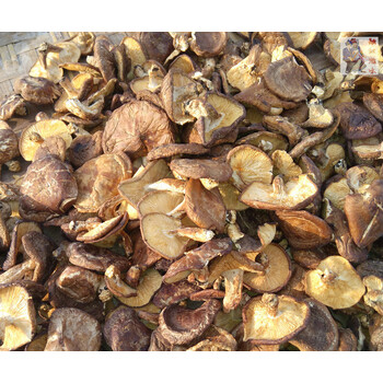 广西土特产香菇250g香菇干货大苗山香菇香菌农家香菇干货