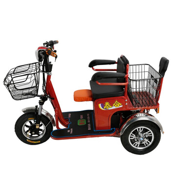 泰合双人电动三轮车成人接送孩子电瓶车老人电动代步车三轮电动车106 8差速电机电动车48v安铅酸电池 图片价格品牌报价 京东