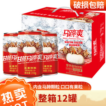 马蹄爽汁果汁果肉果粒水果荸荠甘蔗夏日饮料火锅伴侣甘蔗马蹄爽6罐