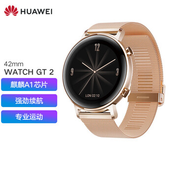 gt2运动智能手表蓝牙通话两周续航健康监测防水男女成人手表 42mm
