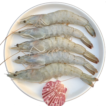 海头海州湾 白虾 海白虾 4斤 盐冻大虾 净重3.