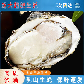 亲丰鲜活新鲜海蛎子5斤特大生蚝牡蛎贝壳即食水产海鲜1箱m70g以下