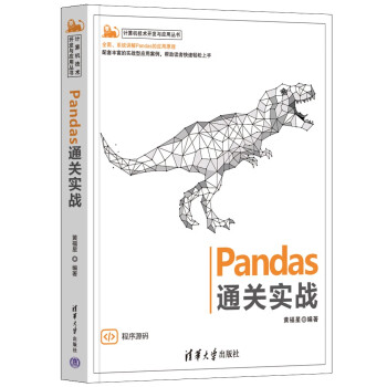 Pandas通关实战（计算机技术开发与应用丛书）