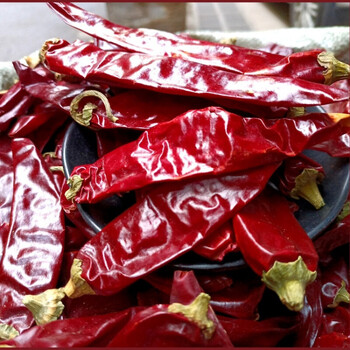 新疆板椒铁皮椒甜椒不辣干辣椒辣皮子天然上色打粉颜色红500g 2500g