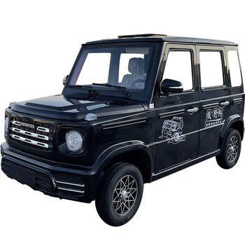 岭溪老头乐电动四轮车全年代步家用代步油电两用女士轿汽车新能源