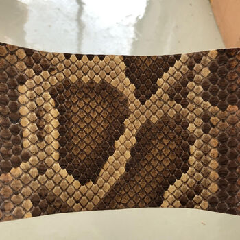 二胡乐器皮二胡蒙皮高胡二胡皮乐器二胡琴皮专用可选择蟒皮