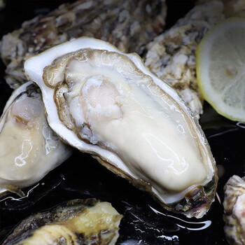 山东生蚝鲜活特大号牡蛎海蛎子新鲜烧烤带壳贝类海鲜6斤l号6070只特小