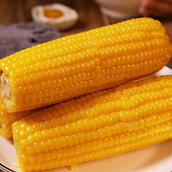 平凉馆糯玉米黏苞米棒粗粮早餐软糯香玉米新鲜真空包装糯玉米6根糯