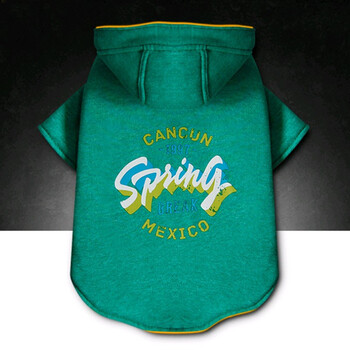 狗狗衣服冬天法斗泰迪雪纳瑞比熊小型犬斗牛犬巴哥犬贵宾宠物衣服加厚秋冬装松花绿双面款