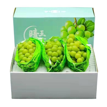青樱红荔秦王葡萄精品果顺丰当天发云南阳光玫瑰葡萄5斤晴王香印青提