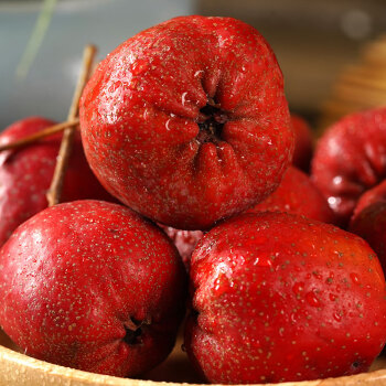 蔬教授山楂果新鲜水果特级大果糖葫芦原料自然成熟山里红果大金星大五