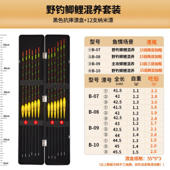 芦王纳米鱼漂套装特价加粗尾醒目近视钓鱼标渔漂鲫鲤鱼底钓漂 套装三（店长推荐）