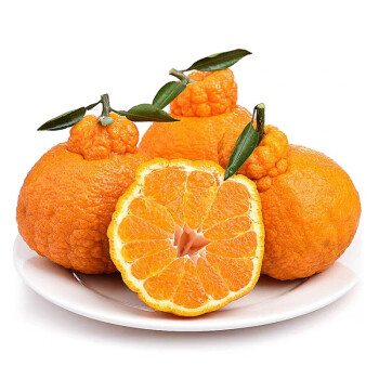 湘春宏四川丑橘不知火丑八怪粑粑柑新鲜柑橘清甜多汁精选大果送礼水果